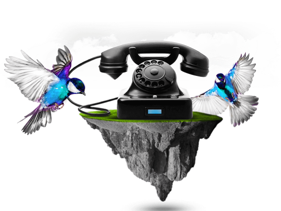 Telefoon met 2 vogels