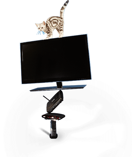 Kat staat op een toren van tv, telefoon en modem